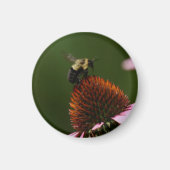 Aimant Bumble Bee (Devant)