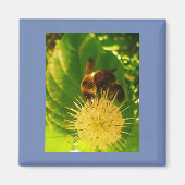 Aimant Bumble Bee Nectar (Devant)