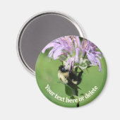 Aimant Bumble Bee On Bee Balm Flower Personalized (Recto/Verso)