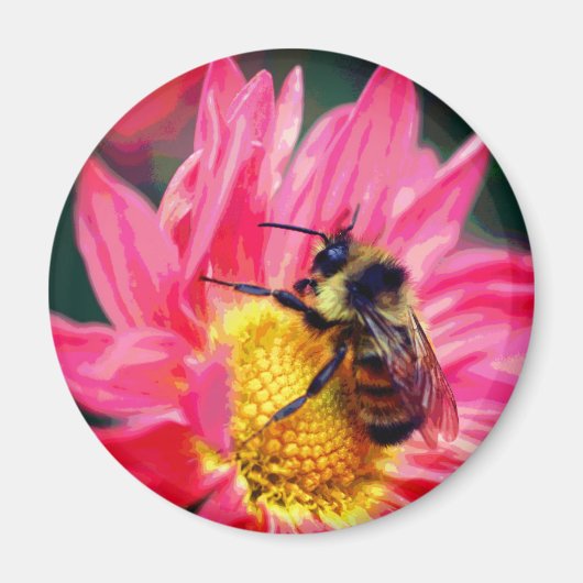 Aimant Bumble Bee On Pink Daisy Flower Art  (Devant)