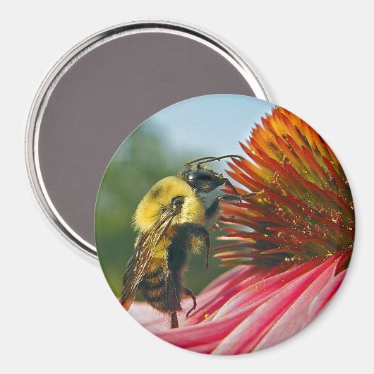 Aimant Bumble Bee With Sky Heart (Recto/Verso)