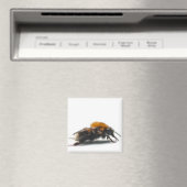 Aimant Bumblebee (In Situ (Lave-vaisselle))