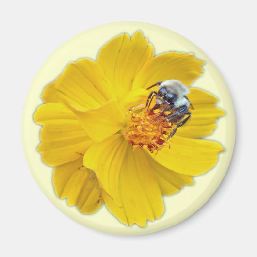 Aimant Bumblebee sur Cosmos (Devant)