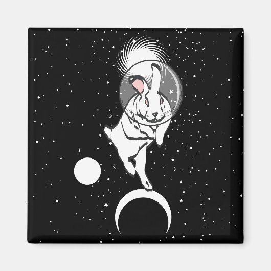 AIMANT BUN ESPACE (Devant)
