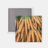 Aimant Bungalows de carottes, cadre complet (Recto/Verso)