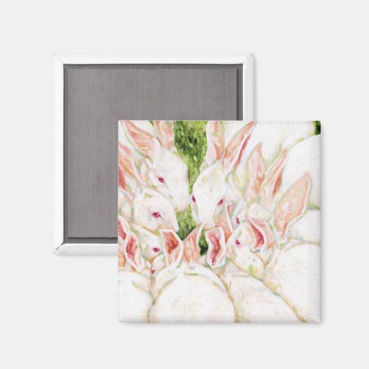 Aimant Bunnies blancs (Recto/Verso)