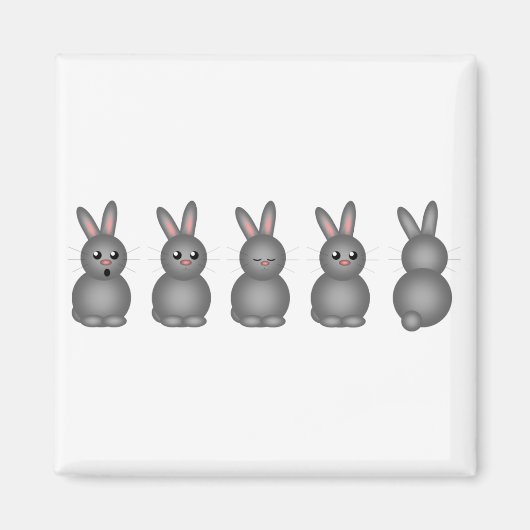 Aimant Bunnies gris (Devant)