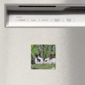 Aimant Bunny Couple (In Situ (Lave-vaisselle))