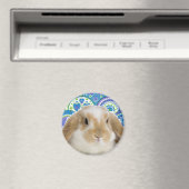 Aimant Bunny Funky (In Situ (Lave-vaisselle))
