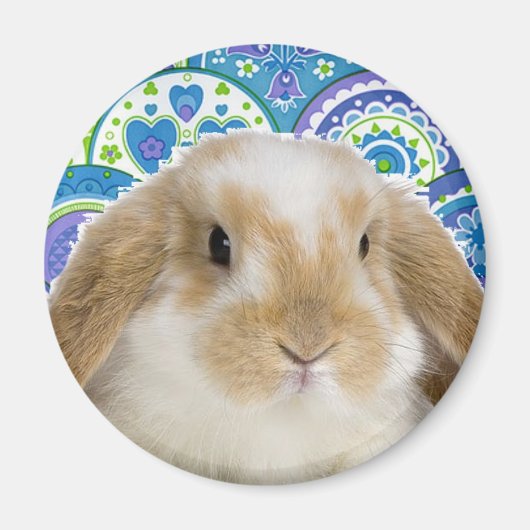 Aimant Bunny Funky (Devant)