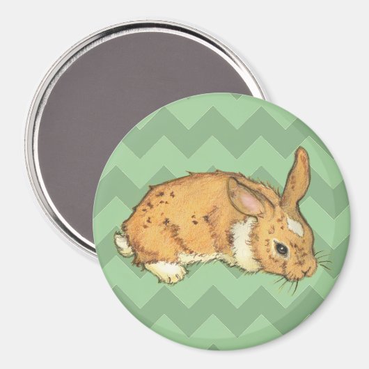 Aimant Bunny Sage Chevron Duo (Recto/Verso)