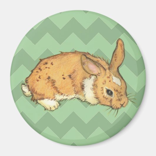 Aimant Bunny Sage Chevron Duo (Devant)