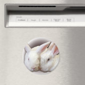 Aimant Buns à Secourt de noix de coco et de givre (In Situ (Lave-vaisselle))