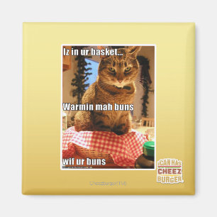 Aimant Buns de mah Warmin