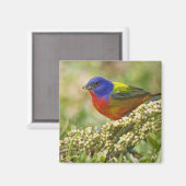 Aimant Bunting peint (Recto/Verso)