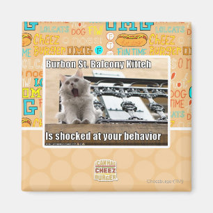 Aimant Burbon St Balcony Kitteh