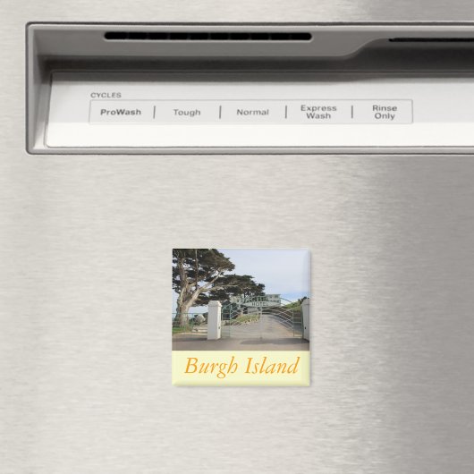 Aimant Burgh Island, Devon (In Situ (Lave-vaisselle))