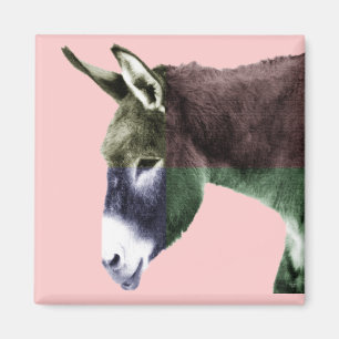 Aimant Burro de beaucoup de couleurs - colorez-moi les
