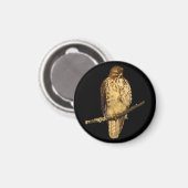 Aimant Buse à queue rouge (Recto/Verso)