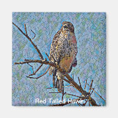 Aimant Buse à queue rouge (Devant)