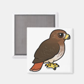 Aimant Buse à queue rouge (Recto/Verso)