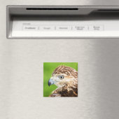 Aimant Buse à queue rousse juvénile (In Situ (Lave-vaisselle))