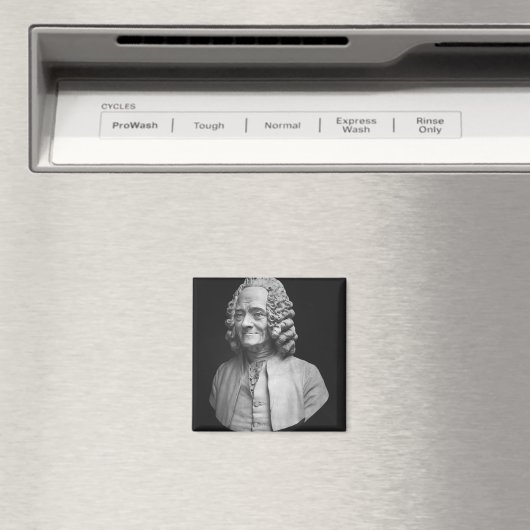 Aimant Buste de Voltaire (In Situ (Lave-vaisselle))