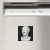 Aimant Buste de Voltaire sans sa perruque, 1778 (In Situ (Lave-vaisselle))