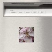 Aimant Busy Bee (In Situ (Lave-vaisselle))