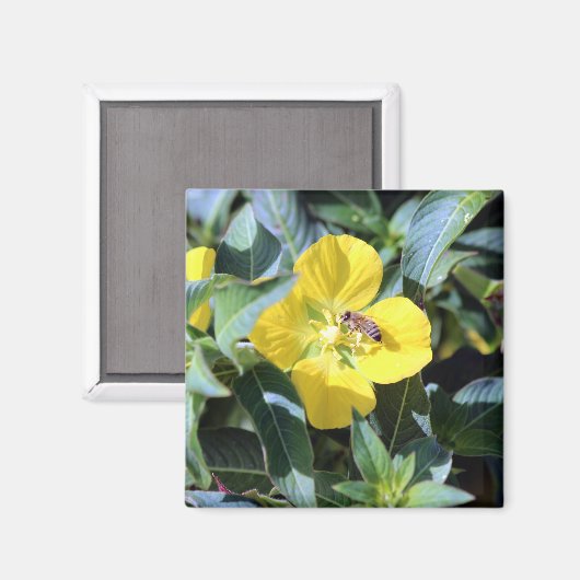 Aimant Busy Bee (Recto/Verso)