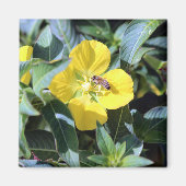 Aimant Busy Bee (Devant)