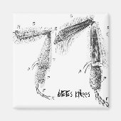 Aimant buzzart (Devant)