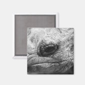 Aimant BW Tortoise (Recto/Verso)