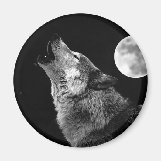 Aimant BW Wolf Howling at Moon (Devant)