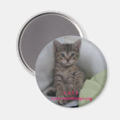 Aimant C.A.T.S. : (Recto/Verso)