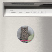 Aimant C.A.T.S. : (In Situ (Lave-vaisselle))