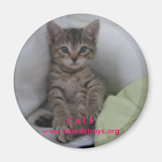 Aimant C.A.T.S. : (Devant)