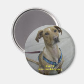 Aimant C.A.T.S. (Recto/Verso)