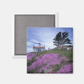 Aimant CA, Crescent City, phare de Battery Point avec (Recto/Verso)