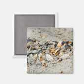 Aimant Cache Shell (Recto/Verso)