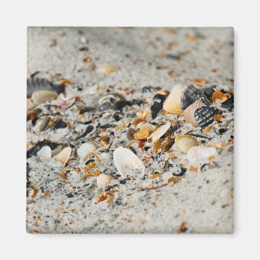 Aimant Cache Shell (Devant)