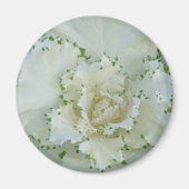 Aimant Cactus (Devant)