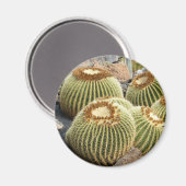 Aimant cactus (Recto/Verso)
