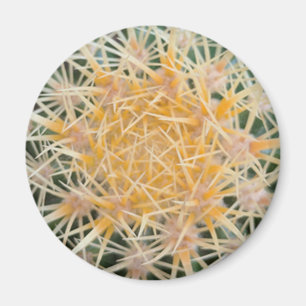 Aimant Cactus