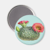 Aimant Cactus (Recto/Verso)