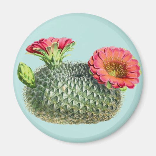Aimant Cactus (Devant)