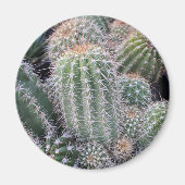Aimant Cactus (Devant)