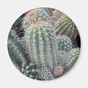 Aimant Cactus
