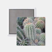 Aimant Cactus (Recto/Verso)