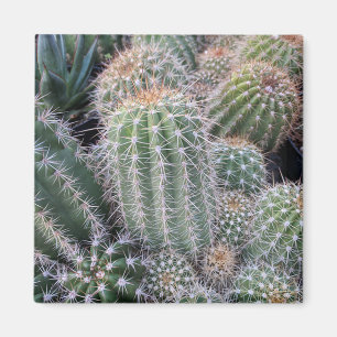 Aimant Cactus
